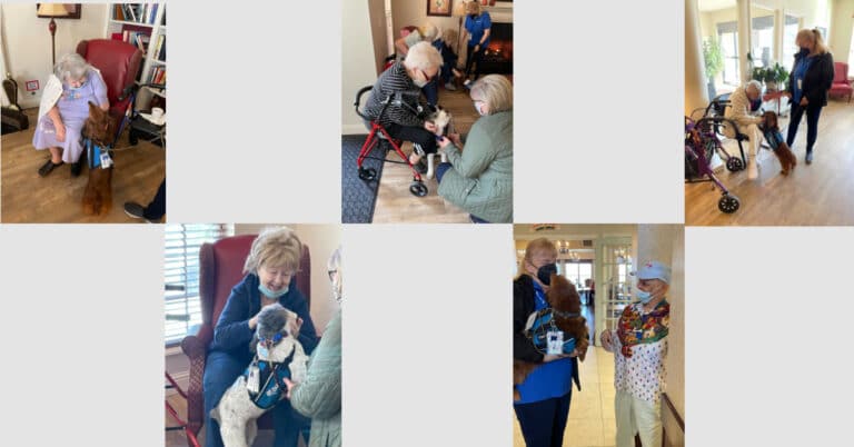 Assisted Living in Caseyville, IL: Duo Dog Therapy 